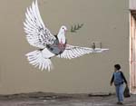BanskyDove
