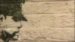 BanskyWallProfile